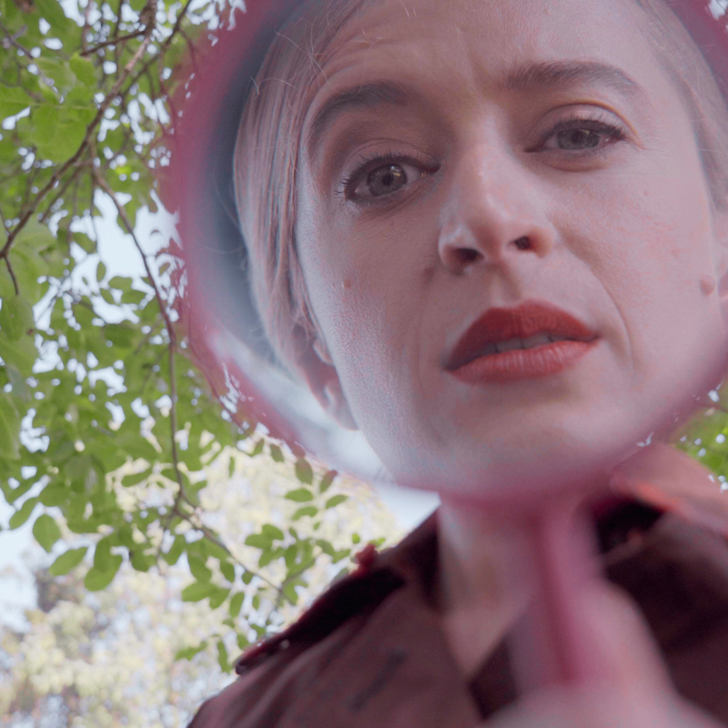 résolvez l'enquête - qui a tué le grand méchant loup?