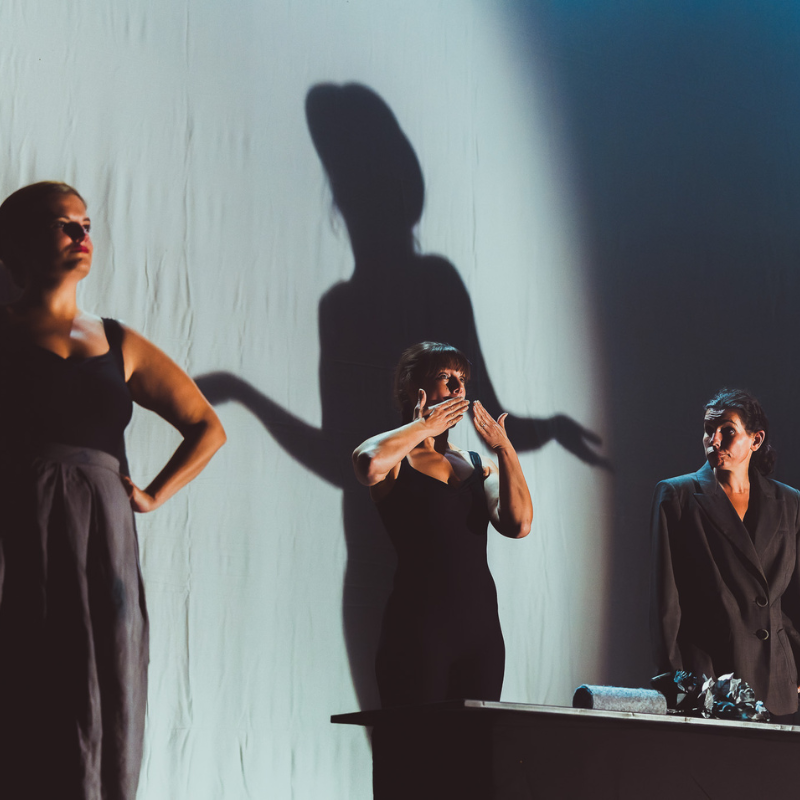 Trois interprètes face au public, leurs ombres amplifiées projetées sur un rideau dans Splendeur & Décadence